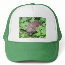 Hedgehog Hat by Jeeee11 Hedgehog Hat