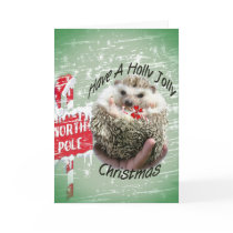 Hedgehog holly jolly xmas cards by friskybiz Hedgehog holly jolly xmas cards