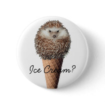 Hedgehog Ice Cream Pin