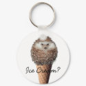 Hedgehog Ice Cream keychains