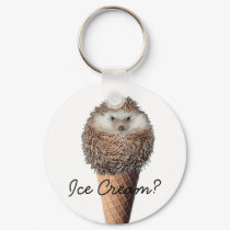 Hedgehog Ice Cream keychains
