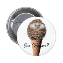 Hedgehog Ice Cream Pin