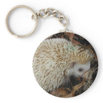 hedgehog in leaves keychain