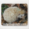 hedgehog in leaves mousepad