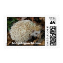 hedgehog in leaves stamp