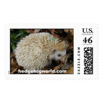 hedgehog in leaves stamp