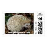 hedgehog in leaves stamp