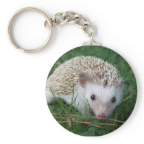 Hedgehog Key Chain