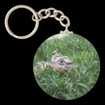 Hedgehog keychains