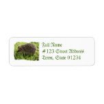 Hedgehog Mailing Label