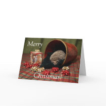 Hedgehog Merry Christmas cards by PogStarHedgehogs Hedgehog Merry Christmas cards