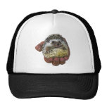 Hedgehog Mesh Hats