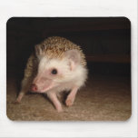 Hedgehog Mouse Mat