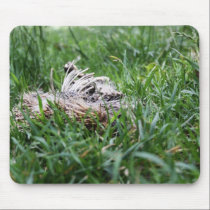 Hedgehog mousepads