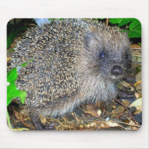 Hedgehog Mousepad