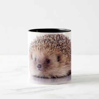 Hedgehog, Mug