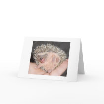 Hedgehog Notecard