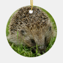 Hedgehog Ornament