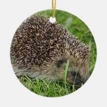 Hedgehog Ornament