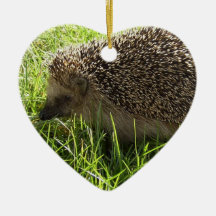 Hedgehog Ornament
