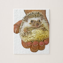 Hedgehog Pet Puzzle puzzles