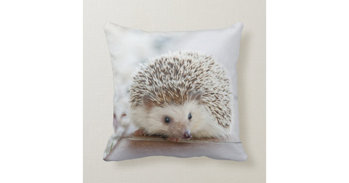 hedgehog christmas pillow