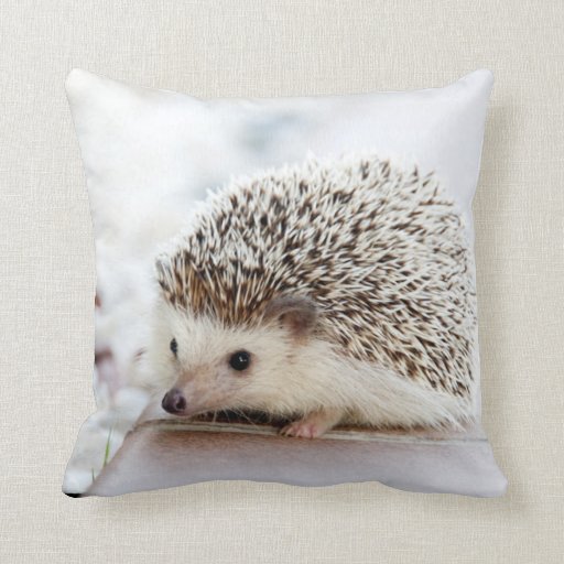 hedgehog shaped pillow