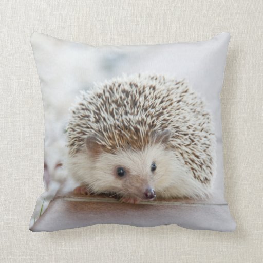 hedgehog shaped pillow