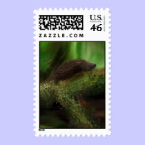Hedgehog Postage Stamp stamps