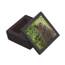 Hedgehog Premium Gift Box  