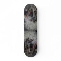 Hedgehog Skateboard