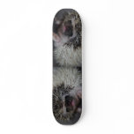 Hedgehog Skateboard