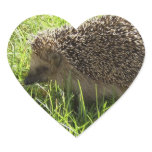 Hedgehog Stickers