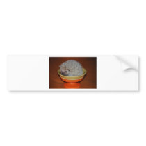 Hedgehog Sundae Bumper Sticker