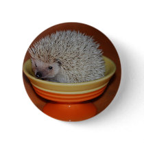 Hedgehog Sundae Pinback Button