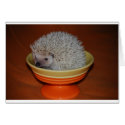 Hedgehog Sundae cards