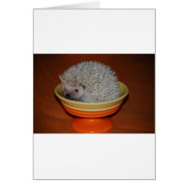 Hedgehog Sundae cards
