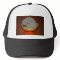 Hedgehog Sundae hats