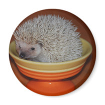 Hedgehog Sundae Magnet