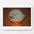 Hedgehog Sundae