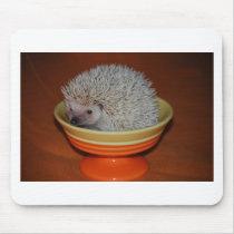 Hedgehog Sundae mousepads by amjon1 Hedgehog Sundae mousepads