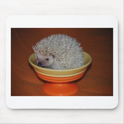Hedgehog Sundae Mouse Pads by amjon1
