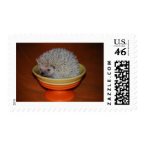Hedgehog Sundae postage by amjon1 Hedgehog Sundae postage