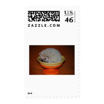 Hedgehog Sundae postage by amjon1 Hedgehog Sundae postage