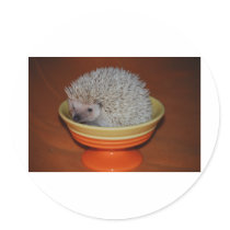 Hedgehog Sundae stickers by amjon1 Hedgehog Sundae stickers