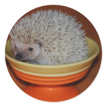 Hedgehog Sundae stickers by amjon1 Hedgehog Sundae stickers