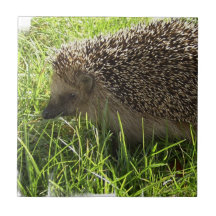 Hedgehog  Tile