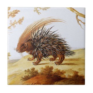 Hedgehog Vintage Painting by Bronkhorst Tiles