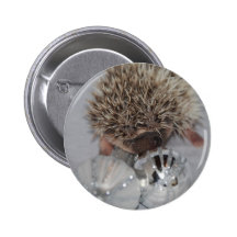 Hedgehog with Ornaments Buttons