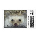 hedgehogworld.com stamp by hedgehogworld hedgehogworld.com stamp